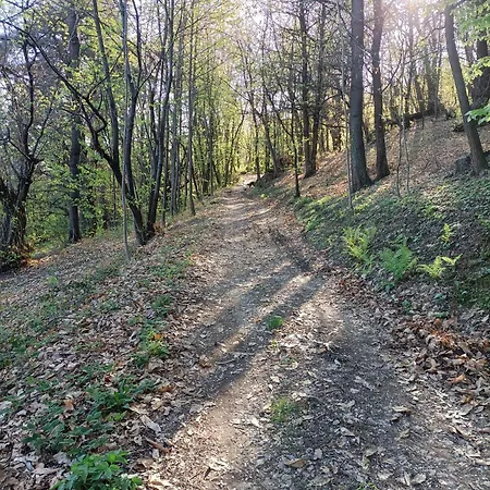 Albaluna 2 Casa Dronero